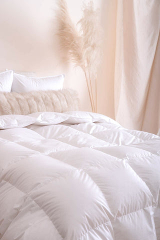 Goose Down Fill Comforter in cozy room