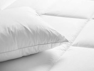 White Goose Down Pillow, Tencel organic pillow, great for sensitive skin